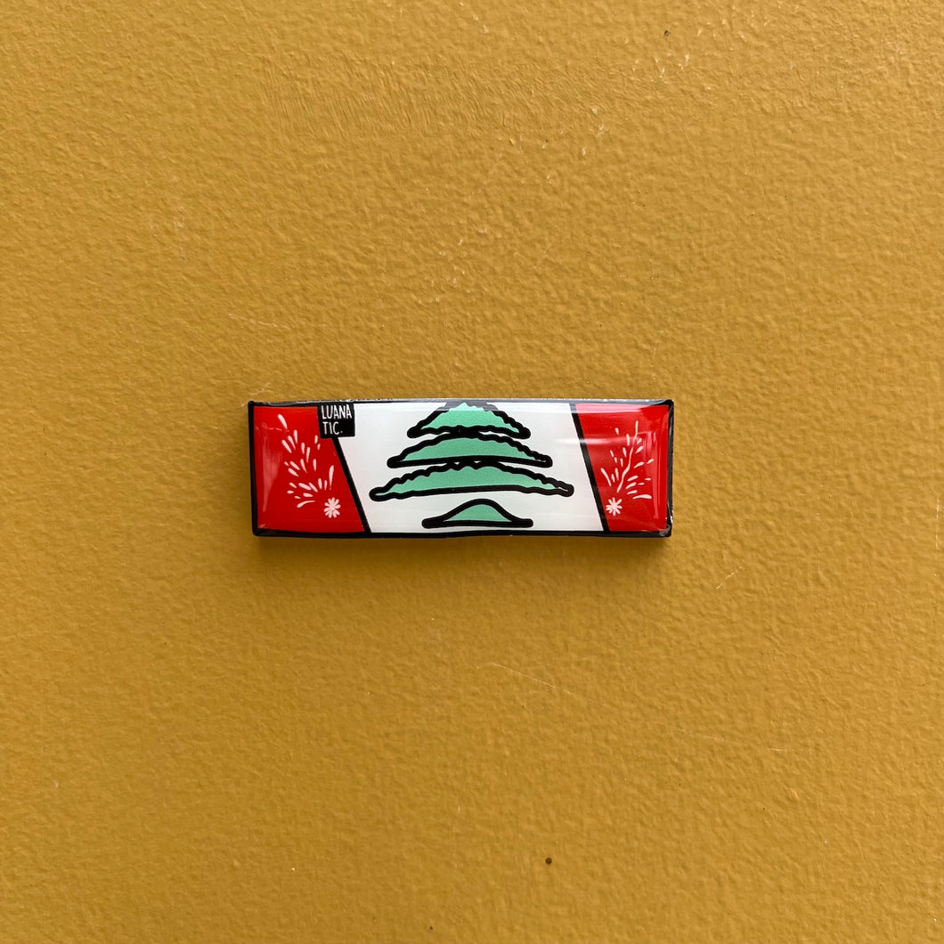 Fridge Magnet Camion Flag
