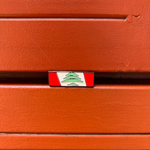 Pin Camion Flag