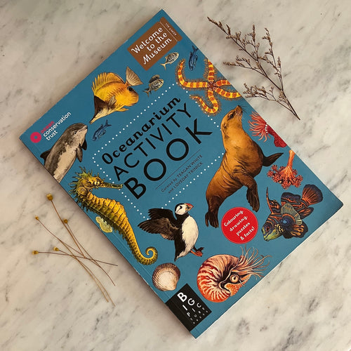 Oceanarium Activity Books