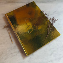 Load image into Gallery viewer, Titeuf - Le Livre D'Or